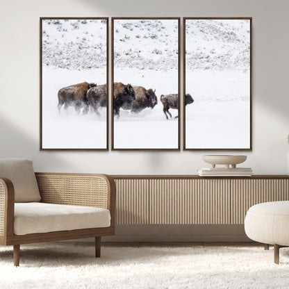 56216945-MGV-CV-36X24-Bison Herd Decor Wall Art Canvas Print, Framed Snowy Bison Scene Art Picture Print, Winter Wildlife Theme Perfect Rustic Western