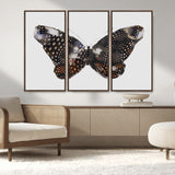 99831147-MGV-CV-36X24-Spotted Butterfly Wall Art Canvas Print, Framed Neutral Insect Theme Art Picture Print, Earthy Wing Pattern Perfect Modern Rustic