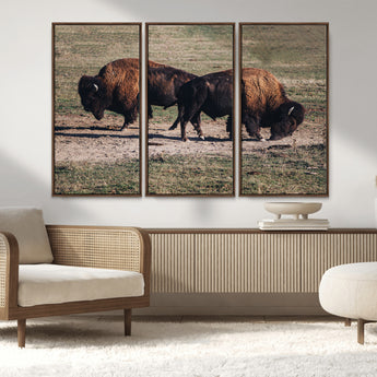 58141885-MGV-CV-36X24-Bison Photography Wall Art Canvas Print, Framed Western Wildlife Art Picture Print, Modern Ranch Perfect Western Rustic Decor