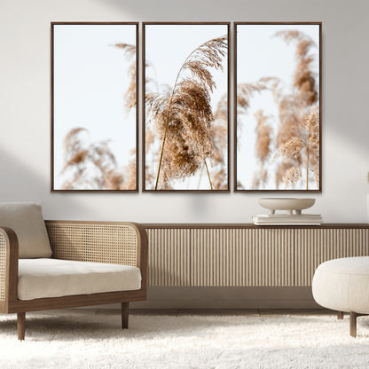 17019393-MGV-CV-36X24-Pampas Grass Wall Art Canvas Print, Framed Neutral Tones Art Picture Print, Minimalist Nature Perfect Boho Minimalist Decor