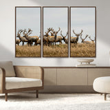 42170220-MGV-FC-48X32-3P_Walnut-Elk Herd Wall Art Canvas Print, Framed Wildlife Photography Art Picture Print, Majestic Antlers Perfect Rustic Wildlife Decor