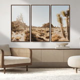 62783269-MGV-FC-48X32-3P_Walnut-Joshua Tree Wall Art – Desert Landscape Photography Canvas Print, Southwest Nature Artwork Rustic Home Decor for Living Room,