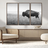 90861202-MGV-CV-36X24-Black and White Bison Canvas Wall Art – Rustic American Buffalo Print, Western Wildlife Photography for Farmhouse, Cabin, Office