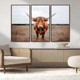 16316734-MGV-FC-48X32-3P_Walnut-Texas Longhorn Wall Art – Rustic Bull Portrait Canvas Print, Western Farmhouse Animal Photography Decor for Living Room, Office,