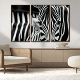43631-MGV-FC-48X32-3P_Walnut-Zebra Wall Art – Black & White Safari Wildlife Canvas Print, Modern Animal Photography Decor for Living Room, Office, or Bedroom