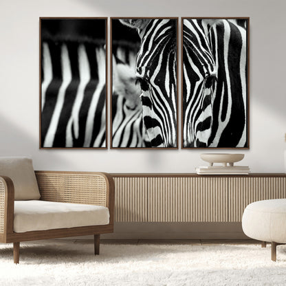 43631-MGV-FC-48X32-3P_Walnut-Black and White Zebra Wall Art – Modern Animal Print Canvas Artwork for Living Room, Bedroom, or Office Decor