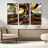 53335-MGV-FC-48X32-3P_Natural-Majestic Tree with Sprawling Roots Wall Art – Serene Sunlit Park Scene, Nature Canvas Print, Perfect for Living Room, Office or