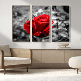 84671-MGV-FC-48X32-3P_Natural-Red Rose Wall Art – Vibrant Single Bloom Canvas Print with Black and White Background, Elegant Floral Decor for Living Room,