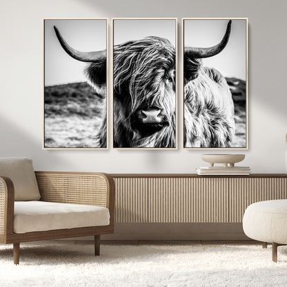 36979-MGV-FC-48X32-3P_Natural-Striking black-and-white portrait of a Highland cow with flowing fur and majestic horns, perfect for rustic and elegant home or