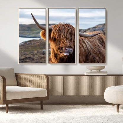 71222-MGV-CV-36X24-A playful Highland cow with shaggy fur sticks out its tongue, set against a rugged landscape — perfect for quirky home or office