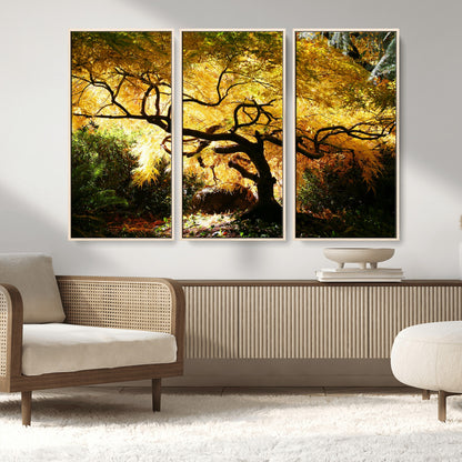 19067-MGV-FC-48X32-3P_Natural-Golden Canopy Wall Art – Panoramic Autumn Tree Canvas Print, Warm Seasonal Decor for Living Room, Office or Garden Space