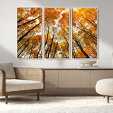 11823-MGV-FC-48X32-3P_Natural-Golden Autumn Tree Canopy Wall Art – Stunning Fall Forest Leaves Print, Warm Seasonal Nature Decor for Home, Office or Cabin