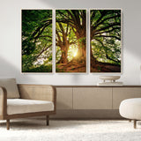 52150-MGV-FC-48X32-3P_Natural-Majestic Tree Wall Art – Large Nature Canvas Print with Sunlight Through Branches, Rustic Forest Decor for Living Room, Bedroom or