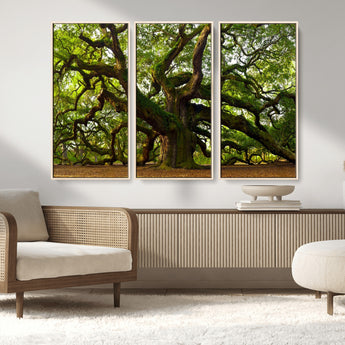 29407-MGV-CV-36X24-Ancient Oak Tree Wall Art – Majestic Nature Canvas Print, Large Tree Photography Decor for Living Room or Office