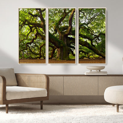 29407-MGV-CV-36X24-Ancient Oak Tree Wall Art – Majestic Nature Canvas Print, Large Tree Photography Decor for Living Room or Office