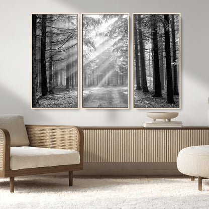 39665-MGV-CV-36X24-Black and White Forest Path Wall Art – Sunlight Rays in Trees Canvas Print, Nature Landscape Decor for Living Room