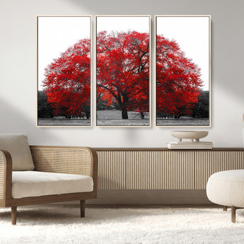 80021-MGV-FC-48X32-3P_Natural-Red Tree Wall Art – Striking Black and White Landscape Canvas Print with Vibrant Red Leaves, Modern Nature Decor for Living Room