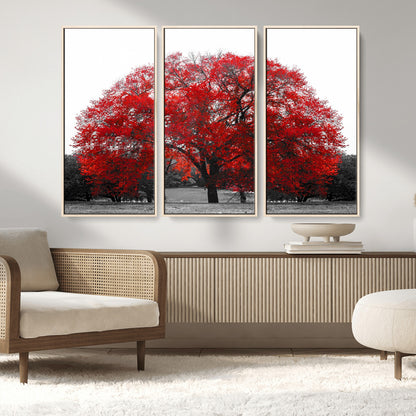 80021-MGV-FC-48X32-3P_Natural-Red Tree Wall Art – Striking Black and White Landscape Canvas Print with Vibrant Red Leaves, Modern Nature Decor for Living Room