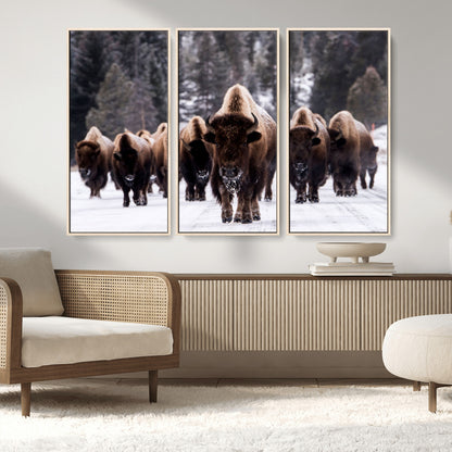 66871-MGV-FC-48X32-3P_Natural-Bison Herd Wall Art – Wildlife Buffalo Canvas Print, Rustic Western Nature Photography Decor for Living Room, Office, Cabin, or