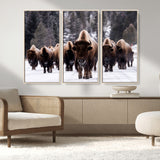 66871-MGV-CV-36X24-Bison Herd Wall Art – Wildlife Buffalo Canvas Print, Rustic Western Nature Photography Decor for Living Room, Office, Cabin, or
