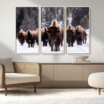 66871-MGV-CV-36X24-Bison Herd Wall Art – Wildlife Buffalo Canvas Print, Rustic Western Nature Photography Decor for Living Room, Office, Cabin, or