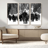 62434-MGV-FC-48X32-3P_Natural-Bison Herd Wall Art – Majestic Black and White Buffalo Canvas Print, Wildlife Nature Photography Decor for Living Room, Office or