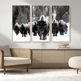 62434-MGV-FC-48X32-3P_Natural-Bison Herd Wall Art – Majestic Black and White Buffalo Canvas Print, Wildlife Nature Photography Decor for Living Room, Office or