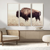 48406-MGV-CV-36X24-American Bison Wall Art – Rustic Buffalo Canvas Print in Prairie Field, Western Wildlife Photography Decor for Cabin, Lodge,