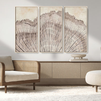 67528-MGV-FC-48X32-3P_Natural-Wood Ring Wall Art Canvas Print, Framed Tree Ring Art Picture Print, Rustic Tree Ring Perfect Neutral Boho Decor Artwork