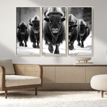 79872-MGV-CV-36X24-Bison Herd Wall Art – Black and White Buffalo on Snow Canvas Print, Rustic Wildlife Decor for Lodge, Cabin, or Living Room