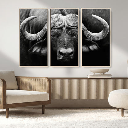 75273-MGV-FC-48X32-3P_Natural-Buffalo Wall Art – Black and White African Buffalo Canvas Print, Rustic Wildlife Animal Artwork for Farmhouse, Living Room,