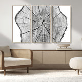 98709-MGV-CV-36X24-Tree Ring Wall Art – Black and White Canvas Print Rustic Wood Cross Section, Minimal Nature Inspired Decor for Living Room,