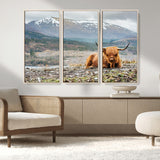 80252-MGV-CV-36X24-Scottish Cow Wall Art Canvas Print, Framed Highland Cow Art Picture Print, Highland Cattle Perfect Rustic Farmhouse Decor Artwork