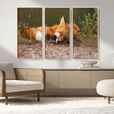 25085-MGV-FC-48X32-3P_Natural-Sleeping Fox Wall Art Canvas Print, Framed Rustic Fox Art Picture Print, Wildlife Animal Perfect Rustic Farmhouse Decor Artwork