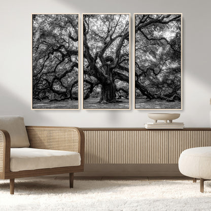 132944706-MGV-FC-48X32-3P_Natural-Ancient Tree Wall Art – Black and White Photography Canvas Print Featuring Majestic Twisting Branches, Rustic Nature Artwork for