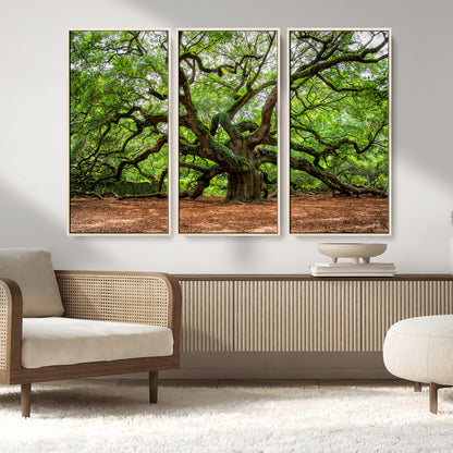 51255351-MGV-FC-48X32-3P_Natural-Ancient Tree Wall Art – Majestic Oak Canvas Print, Large Nature Photography, Sacred Forest Landscape Wall Décor, Wisdom Tree