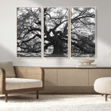 81655611-MGV-CV-36X24-Ancient Oak Wall Art Canvas Print, Framed Twisted Branches Art Picture Print, Gnarled Tree Perfect Moody Nature Decor Artwork