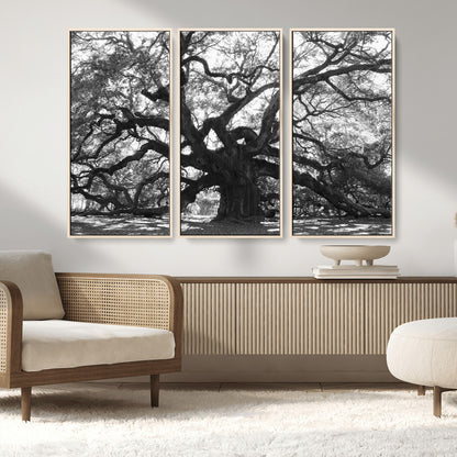 81655611-MGV-CV-36X24-Ancient Oak Wall Art Canvas Print, Framed Twisted Branches Art Picture Print, Gnarled Tree Perfect Moody Nature Decor Artwork