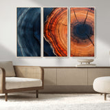 57732250-MGV-FC-48X32-3P_Natural-Tree Ring Abstract Wall Art – Blue Orange Wood Grain Canvas Print, Modern Rustic Nature Artwork for Living Room, Office,