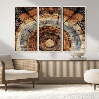 15184146-MGV-CV-36X24-Tree Rings Wall Art Canvas Print, Framed Wood Texture Art Picture Print, Rustic Pattern Perfect Rustic Organic Decor Artwork