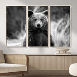 MGV-FC-48X32-3P - Grizzly Bear Wall Art Canvas Print, Framed Black White Bear Art Picture Print, Wild Bear Perfect Rustic Wildlife Decor Artwork