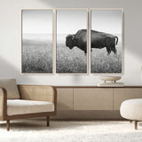 28435251-MGV-CV-36X24-Bison In Prairie Wall Art Canvas Print, Framed Rustic Wildlife Art Picture Print, Wild Buffalo Perfect Rustic Western Decor