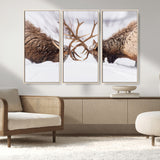36507609-MGV-CV-36X24-Elk Clash Scene Wall Art Canvas Print, Framed Wildlife Strength Decor Art Picture Print, Snowy Forest Elk Perfect Rustic Lodge