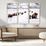 13891210-MGV-CV-36X24-Bison Herd Scene Wall Art Canvas Print, Framed Western Wildlife Decor Art Picture Print, Snowy Mountain Valley Perfect Rustic