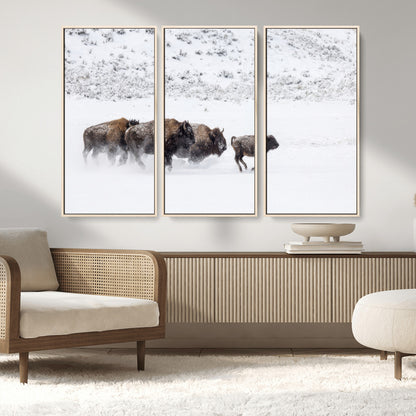 56216945-MGV-CV-36X24-Bison Herd Decor Wall Art Canvas Print, Framed Snowy Bison Scene Art Picture Print, Winter Wildlife Theme Perfect Rustic Western
