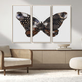 99831147-MGV-CV-36X24-Spotted Butterfly Wall Art Canvas Print, Framed Neutral Insect Theme Art Picture Print, Earthy Wing Pattern Perfect Modern Rustic