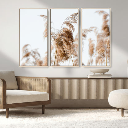 17019393-MGV-CV-36X24-Pampas Grass Wall Art Canvas Print, Framed Neutral Tones Art Picture Print, Minimalist Nature Perfect Boho Minimalist Decor