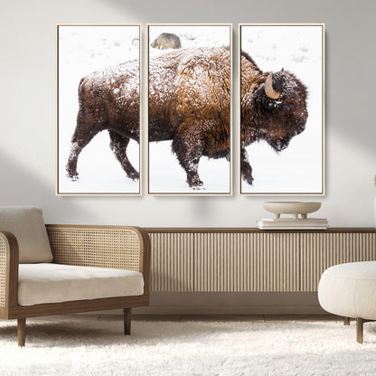 94261165-MGV-CV-36X24-Snowy Buffalo Wall Art Canvas Print, Framed Wildlife Photography Art Picture Print, Brown Tones Perfect Rustic Lodge Decor Decor