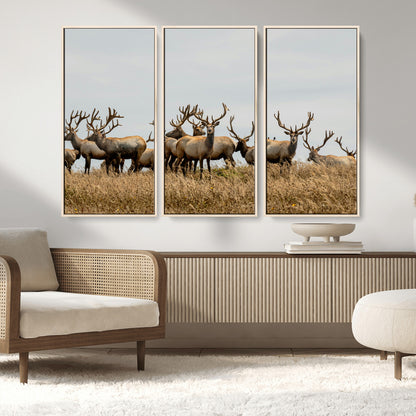 42170220-MGV-FC-48X32-3P_Natural-Elk Herd Wall Art Canvas Print, Framed Wildlife Photography Art Picture Print, Majestic Antlers Perfect Rustic Wildlife Decor