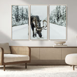 13316292-MGV-FC-48X32-3P_Natural-Moose in Snow Wall Art Canvas Print, Framed Winter Wildlife Art Picture Print, Snowy Forest Scene Perfect Rustic Lodge Decor